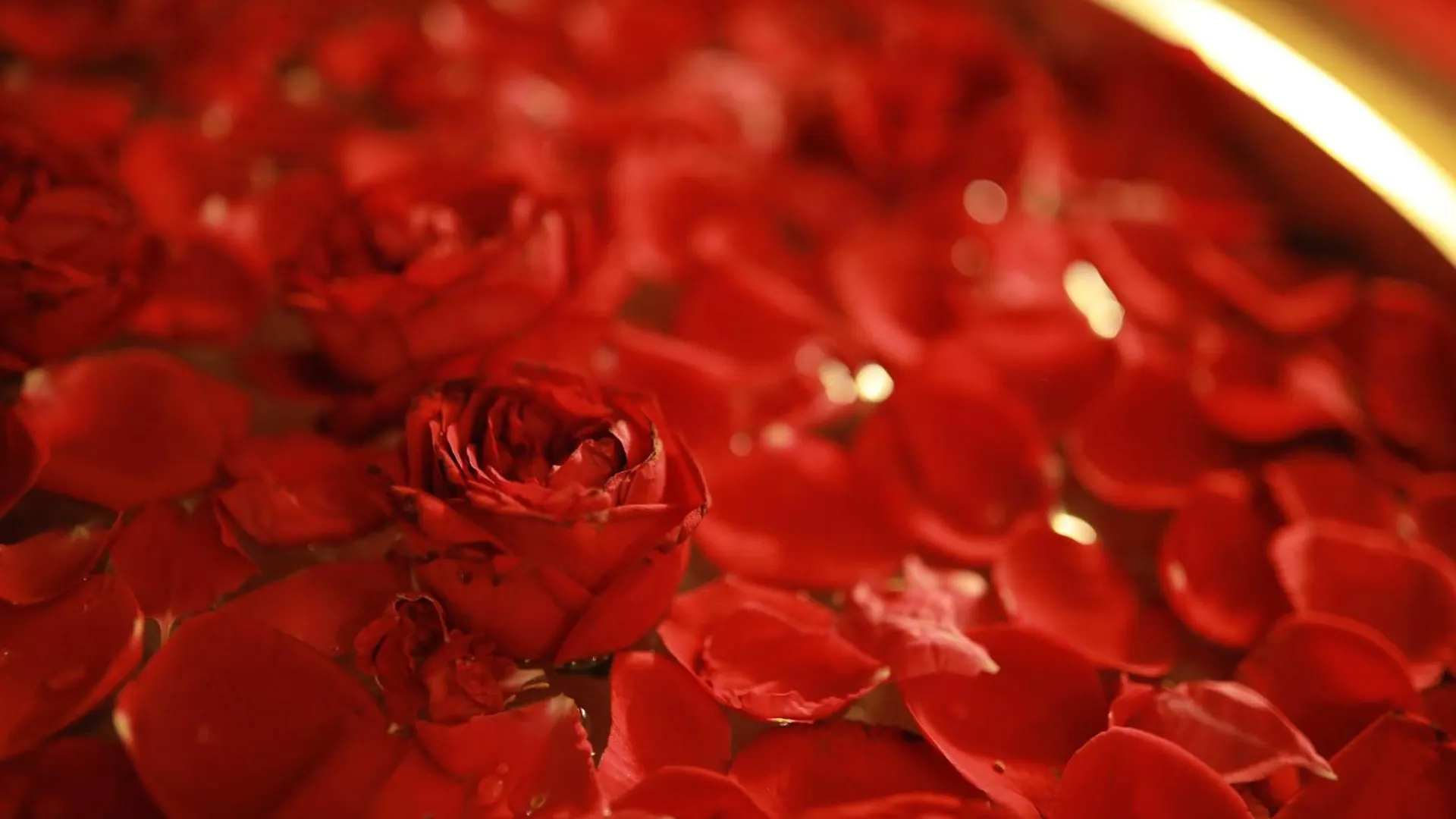 Petals Apartment Kuthuparamba 인도
